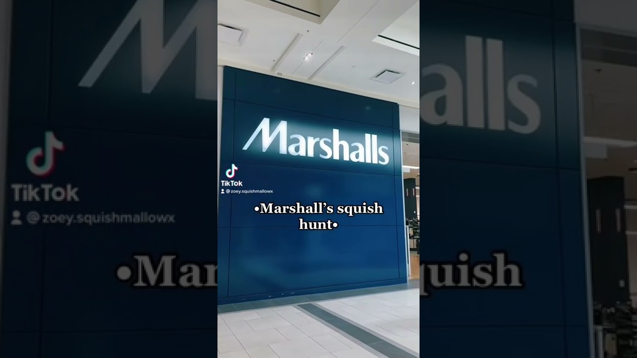 There was so many squishville sets 🫢 