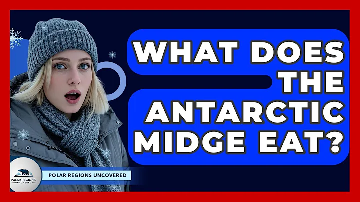 What Does The Antarctic Midge Eat? - Polar Regions Uncovered