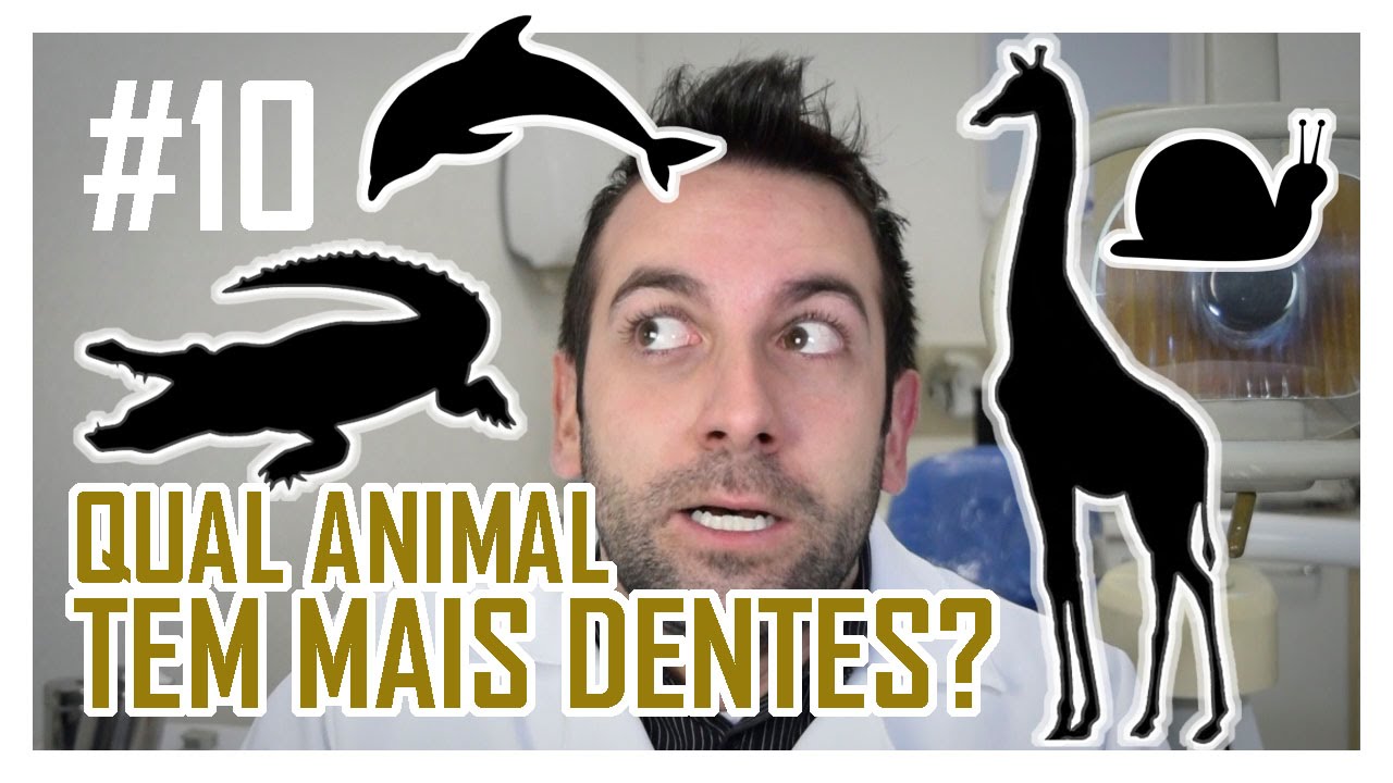 Qual Animal Tem O Dente Mais Grande?