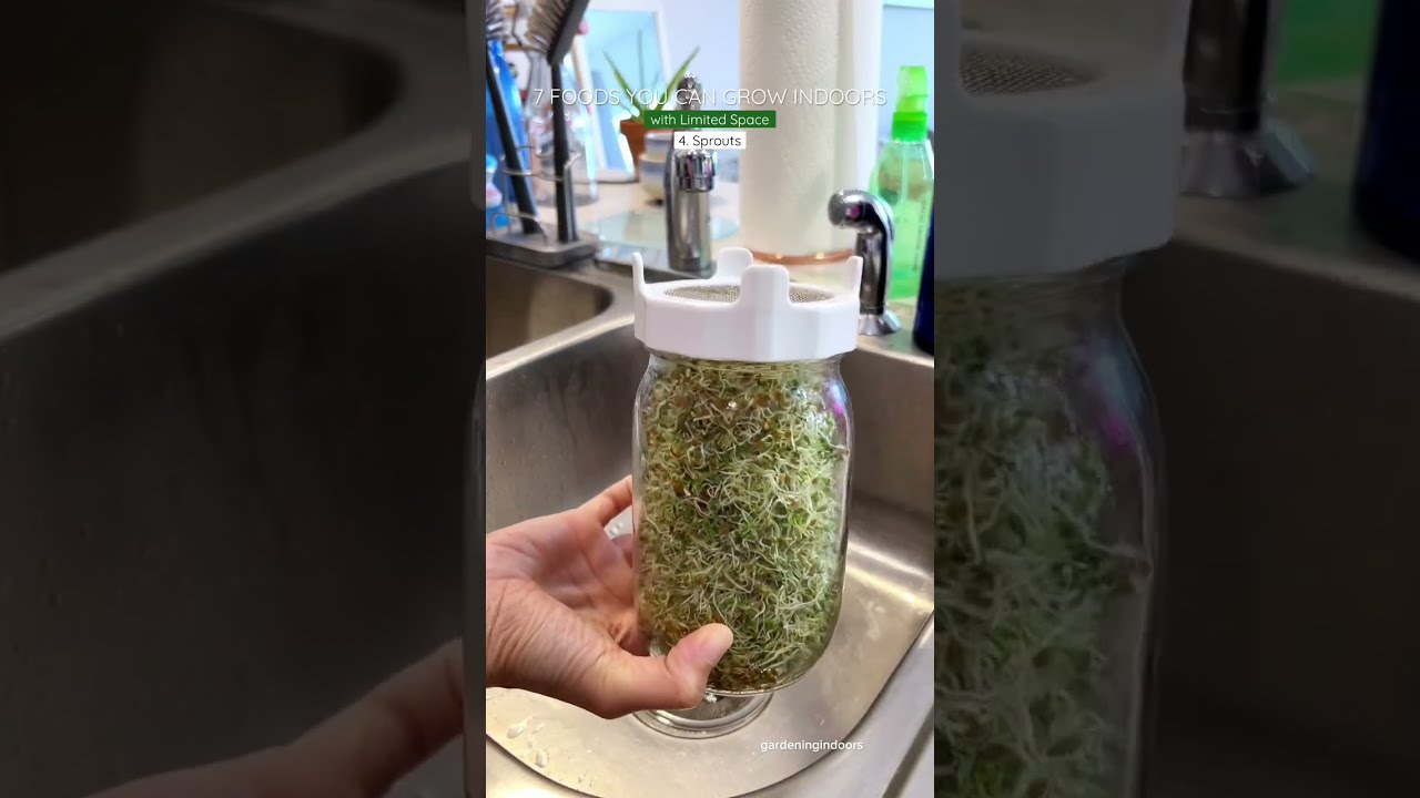 7 Foods You Can Grow Indoors With Limited Space