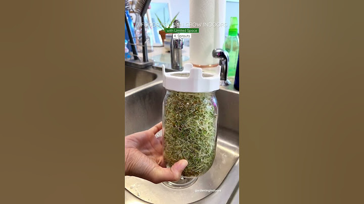7 Foods You Can Grow Indoors  with Limited Space