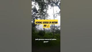 Kehningan yg hakiki part2 #trending #hutan #alam #video #viralvideo #fyp #youtubeshorts #viralshorts