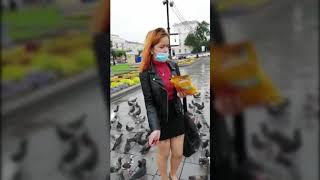 Хабаровск голуби 03 08 2020