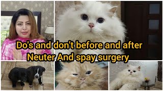 Do's & Don't before and after Neuter and spay surgery  puppies boht tng krte hain