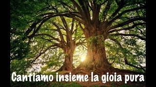 Cantiamo insieme la gioia pura - Coro e Orchestra