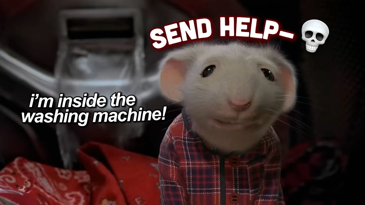 Stuart Little being FUNNIER than you remember 😭 - YouTube