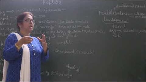 Bio-XI-4-17 General characteristic of class reptile,  Pradeep Kshetrapal channel