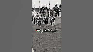 هتاف الجيش الجزائري غزة غزة كلنا فلسطين Shorts 