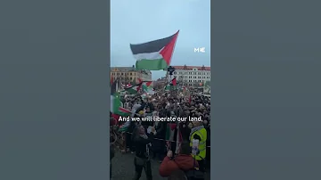 Pro Palestine Protesters In Malmo Sing Swedish Band Kofia S Pro Palestine Song 