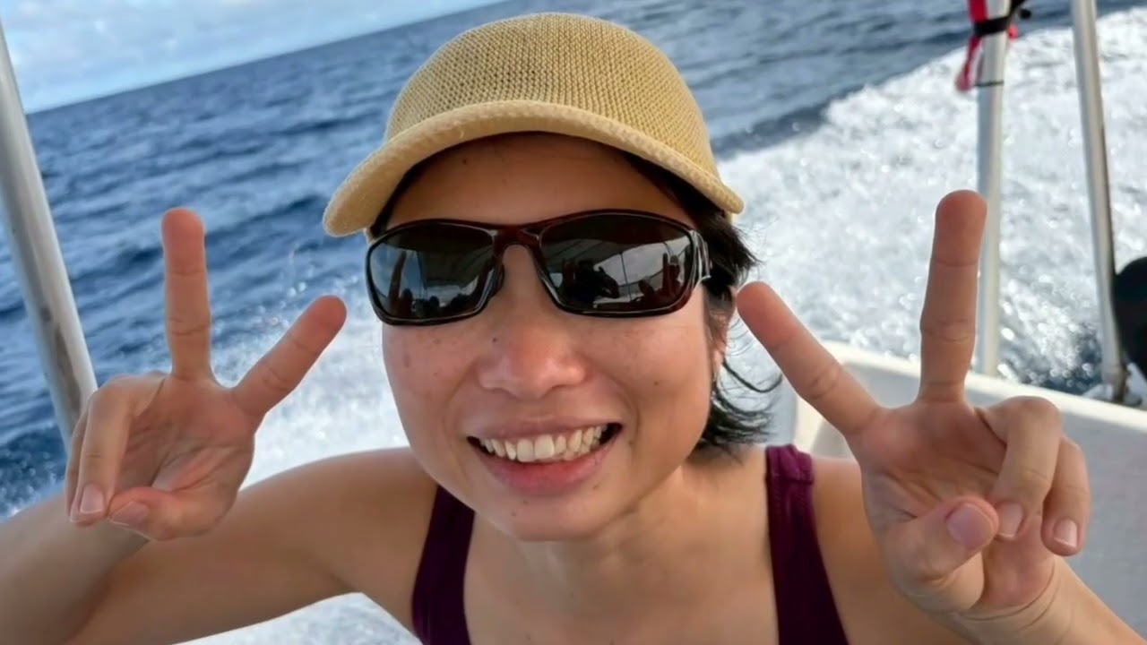 🌴 2026年ドルフィンウェーブ「ツノダシタワー」「グレーリーフ