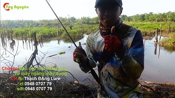 Bãi câu rê cá lóc quá đẹp mà hay bơi quá/Hunter V4 (p23)câucálócTâyNguyên