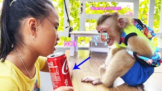 Monkey Lyly cried and was angry at Dung for not letting her drink fresh water!