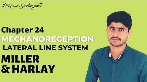 Lateral Line System| Mechanoreception|Vertebrate Sensory Receptors