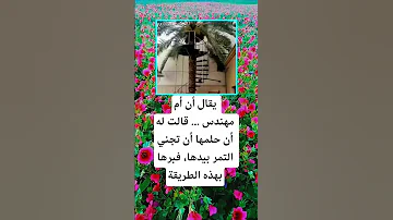 يقال أن أم مهندس قالت له أن حلمها أن تجني التمر بیدها اكسبلور اقنباسات 100 معلومات النظافه 