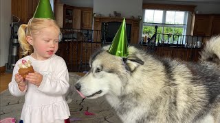 Adorable Baby Girl Sings Happy Birthday To Her Giant Wolf! (Cutest Ever!!)