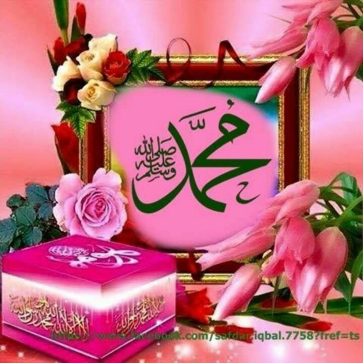 Islami Whatsapp status naat