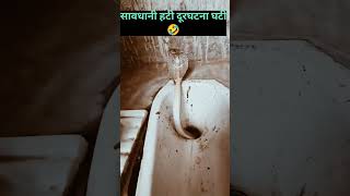 Download Lagu Cobra In Washroom 😱|| #shorts #cobra #snake #toilet MP3