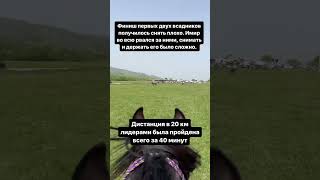 #кчр #horse #къ #лошади #жеребец #топ #кавказ #конь #карачай #карачаевочеркесия #скачки #конныйспорт