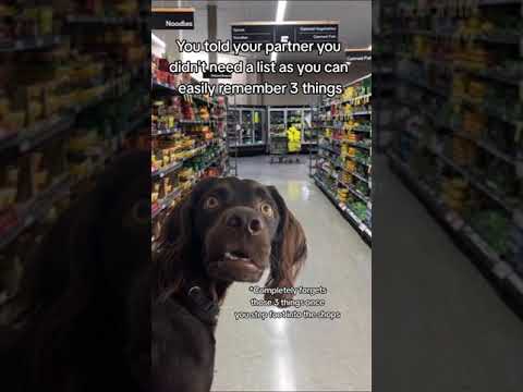 Confused dog meme at the shops