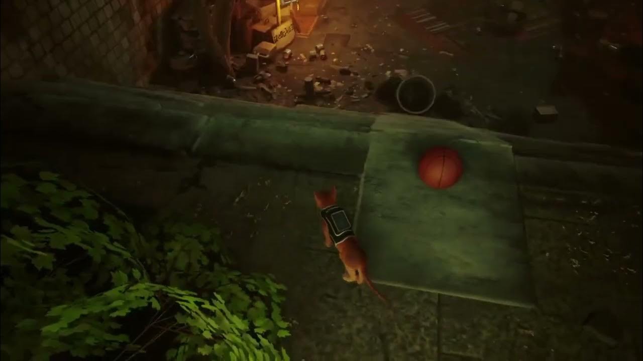 Stray Dunk the basketball trophy guide (Boom Chat Kalaka) YouTube