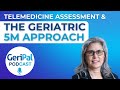 The Geriatric 5M Approach to Telemedicine Assessment: Lauren Moo