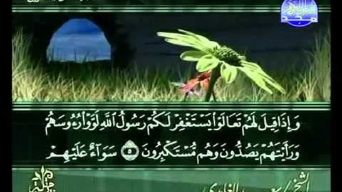 سورة المنافقون كاملة الشيخ سعد الغامدي