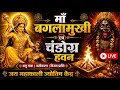 माँ बगलामुखी एवं चंडोग्रह हवन Live 📍