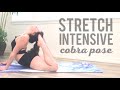 Stretch Intensive | Cobra Pose