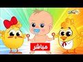 Katakit Baby Live هالصيصان اغاني بيبي واغاني اطفال مباشر كتاكيت بيبي 