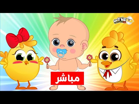    هالصيصان اغاني بيبي واغاني اطفال مباشر كتاكيت بيبي