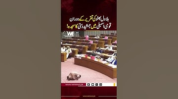 Jamshed Dasti Ka Qoumi Assembly Mein Sajda| Reels| National Assembly| WE News