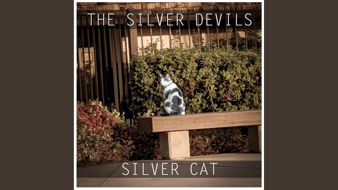 Watch Silver Cat on YouTube Watch Silver Cat on YouTube
