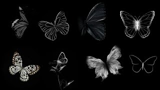 Black Screen Wallpapers |  Black Butterfly Dpz | Black profile pics | Black Screen HD Wallpapers screenshot 5