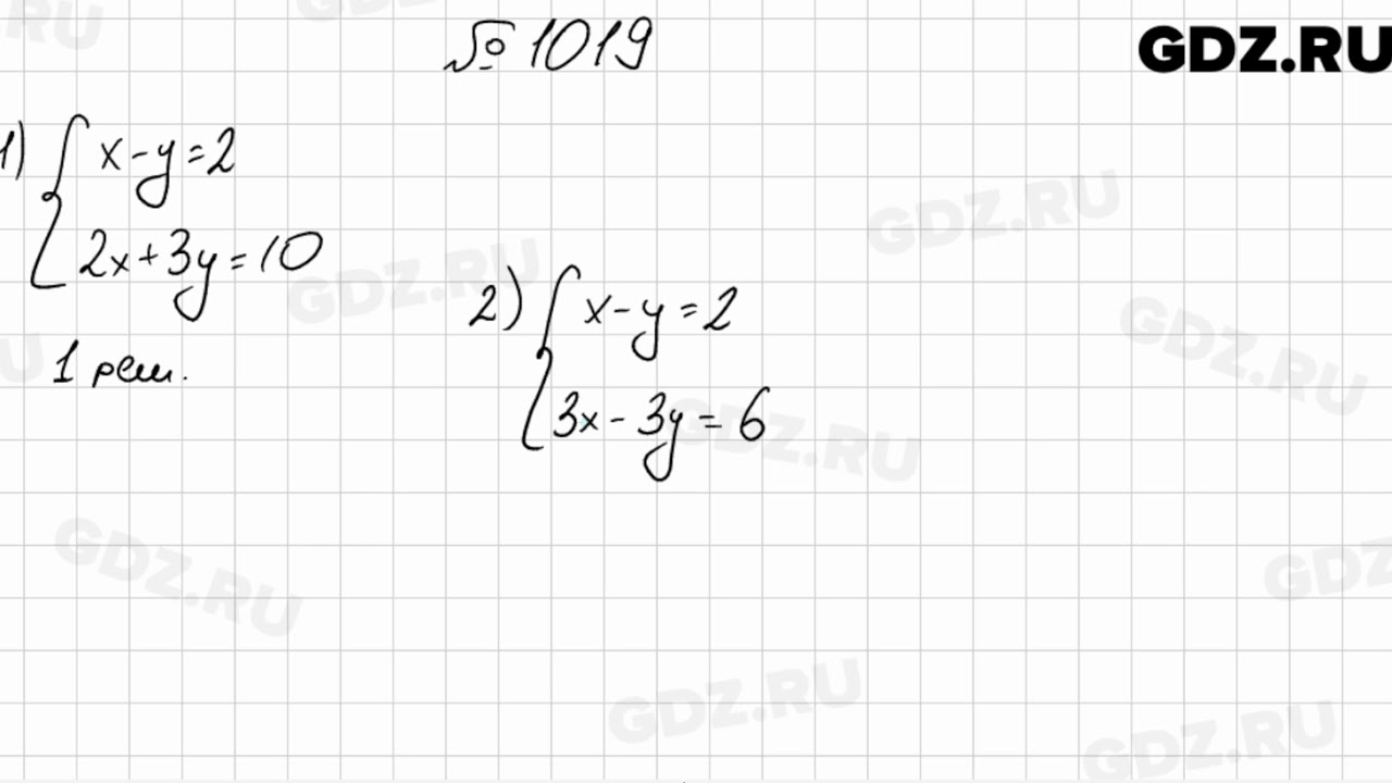 1019 - Алгебра 7 класс Мерзляк - YouTube