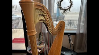 Do Not Underestimate the Power of G-d by lifting Him Up in Worship—The Harp, a Instrument for War by The Lion Roars 297 views 3 months ago 8 minutes, 18 seconds