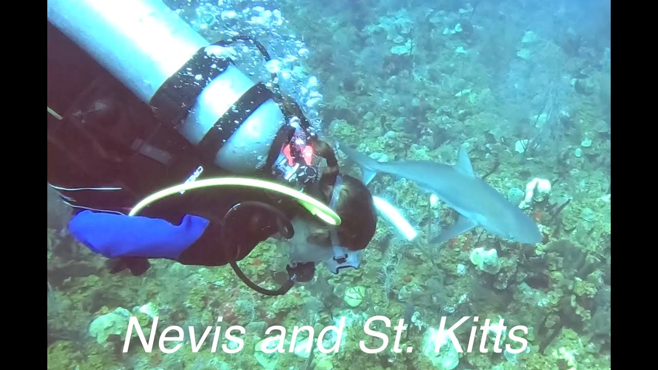 Nevis and St  Kitts