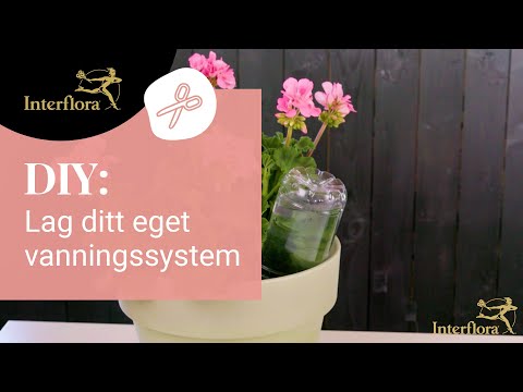 Video: Hvordan lage et røykfritt rom