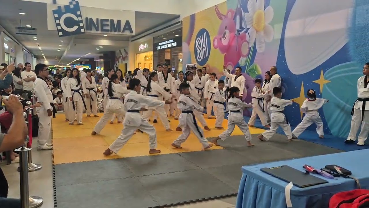 Cuatro's promotion test  ( Red belt achieved )