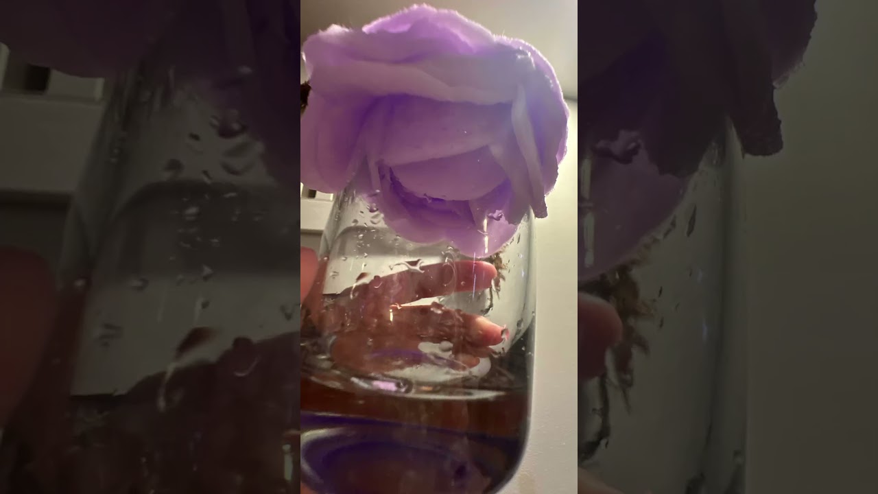 MAKE COTTON FLOWER PADS WITH ME 🪷 if you want a tut comment and say that you do