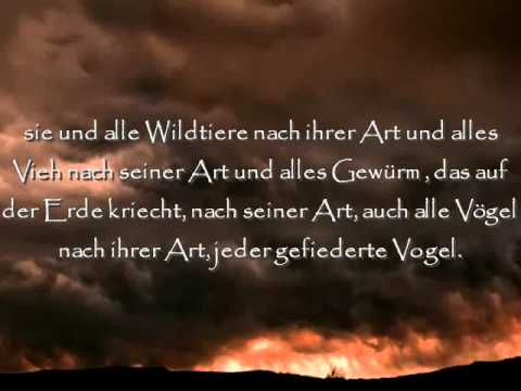 Genesis - Das erste Buch Moses - Kapitel 7