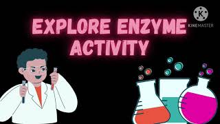 Explore Enzyme Activity | Miracle Studio