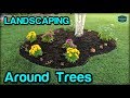 Landscaping / Edging / Mulching Around Trees