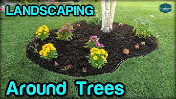 Landscaping / Edging / Mulching Around Trees