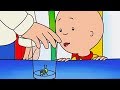 Caillou's Cricket | Caillou Cartoon