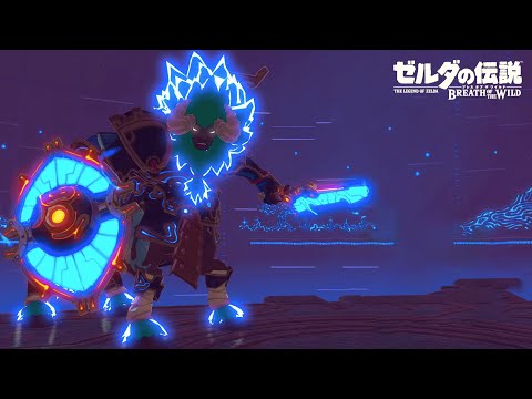 ティアキン発売100日前記念!敵100体を倒して新ライネルに挑むリベンジ【ゼルダの伝説ブレスオブザワイルド】