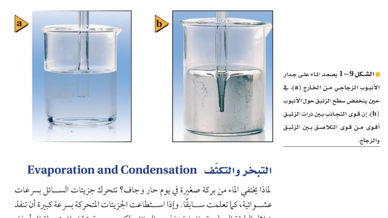 القوى داخل السوائل/فيزياء ثالث ثانوي الفصل الدراسي الاول عام ١٤٤٥هـ