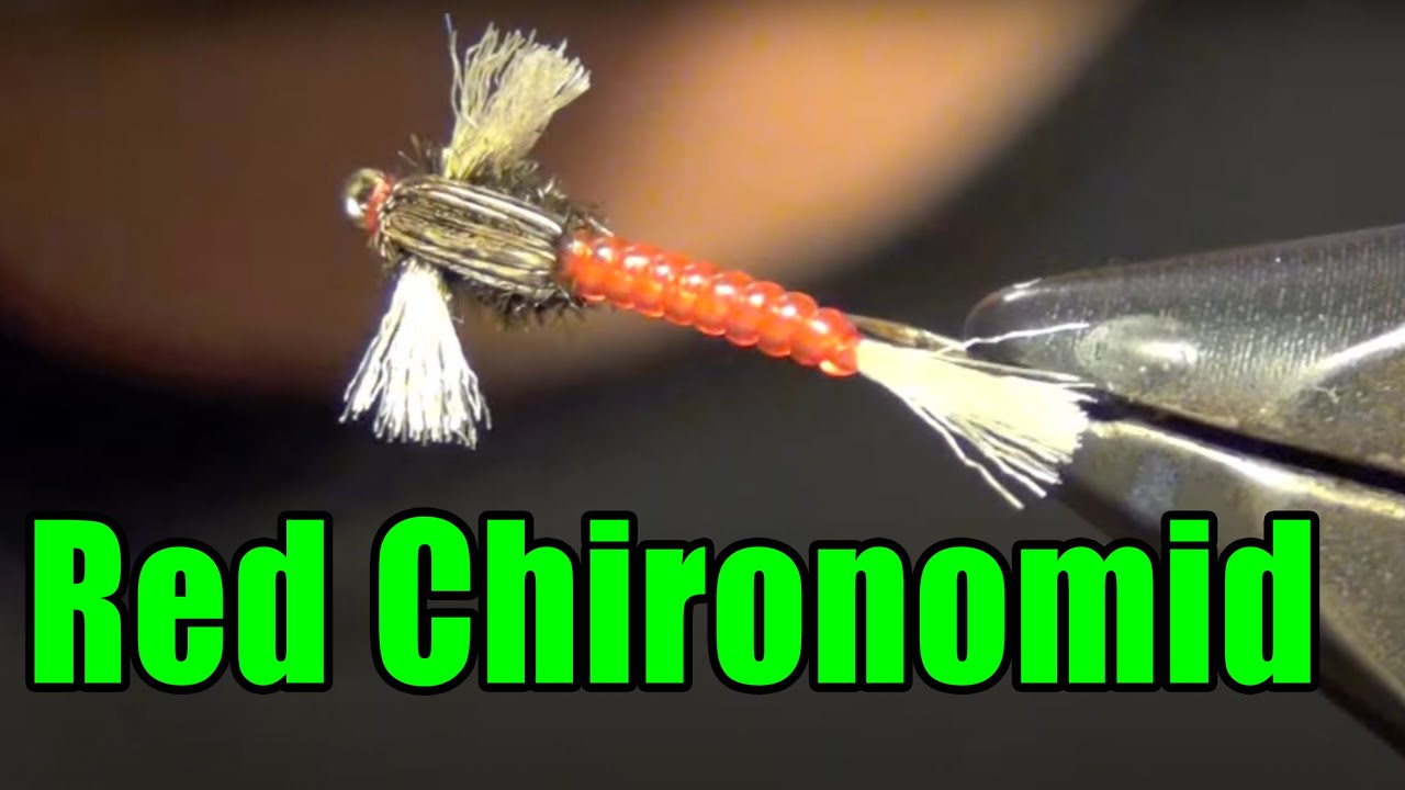 HAND TIED FLIES - Chironomids - Chironomid Larva - Black Iron Flies