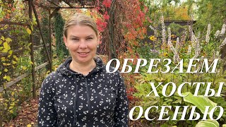 картинка: Обрезка хост осенью. Когда, как, чем и зачем обрезать хосты осенью