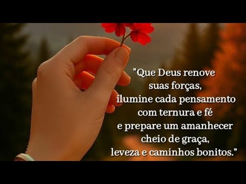 A Beleza da orquídea 🎶🦋