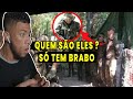 Pqd reage  5 melhores apresentao das equipes de instruo exrcito brasileiro